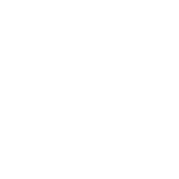 Apple iOS